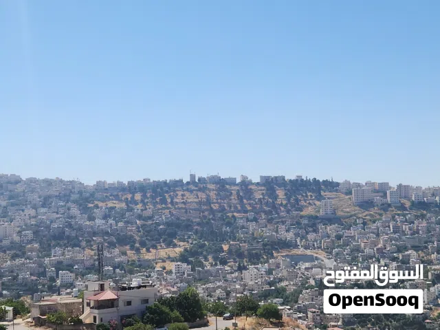 Residential Land for Sale in Amman Abu Al-Nair