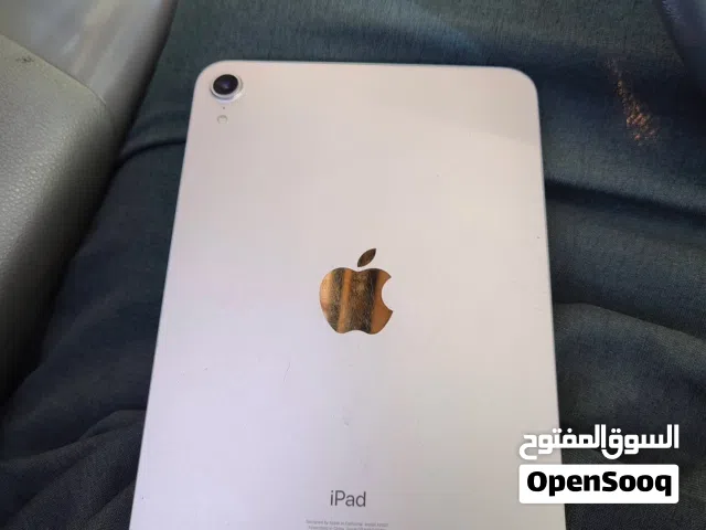 iPad mini 6