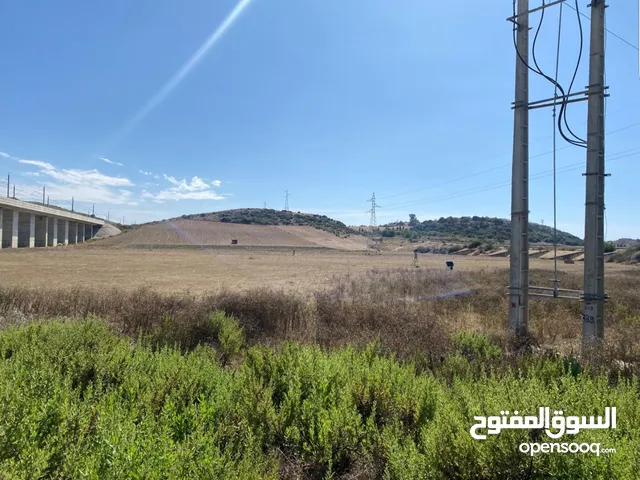 Farm Land for Sale in Tanger Other