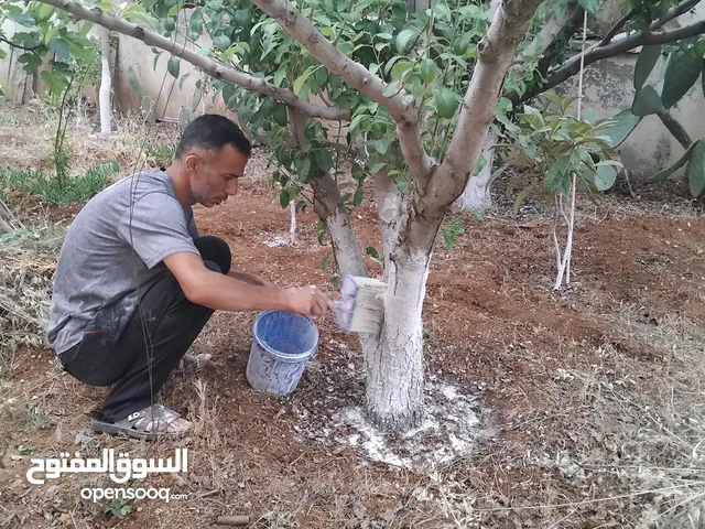 شجرنا انتاجنا