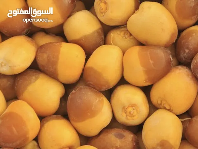 رطب خلاص- روتانا