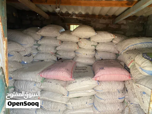 سح نفيعه حال الحلال انتاج موسم 2025