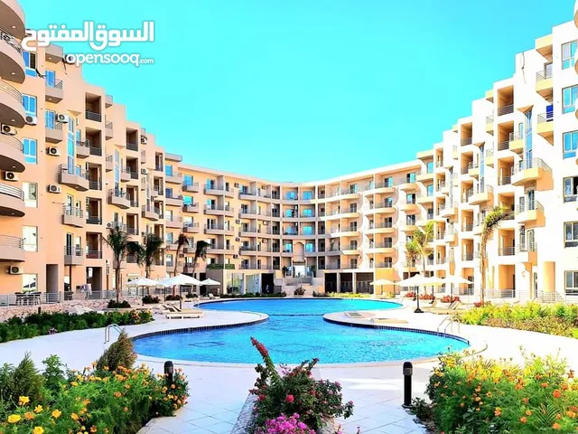 2000 m2 1 Bedroom Apartments for Rent in Red Sea Al-Gouna