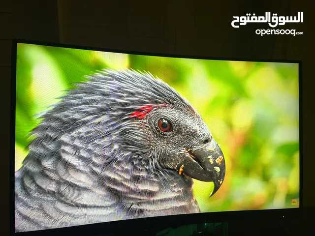 23.6" Aoc monitors for sale in Nablus