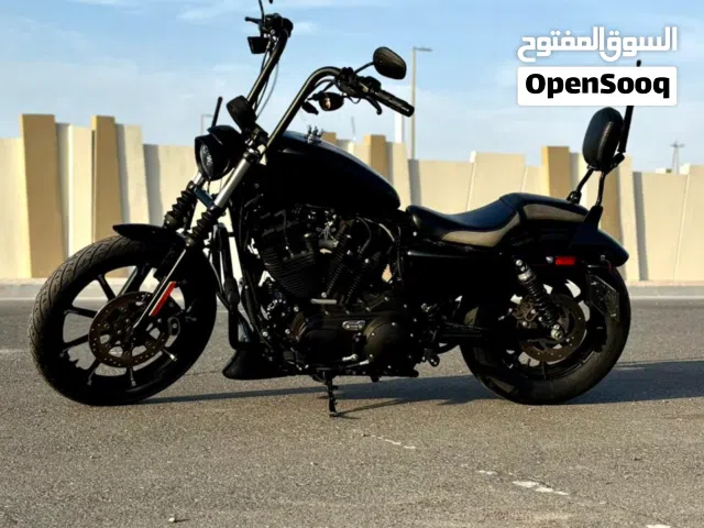 2021 هارلي ديفيدسون 1200 Custom