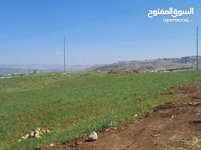 Farm Land for Sale in Salt Al Balqa'