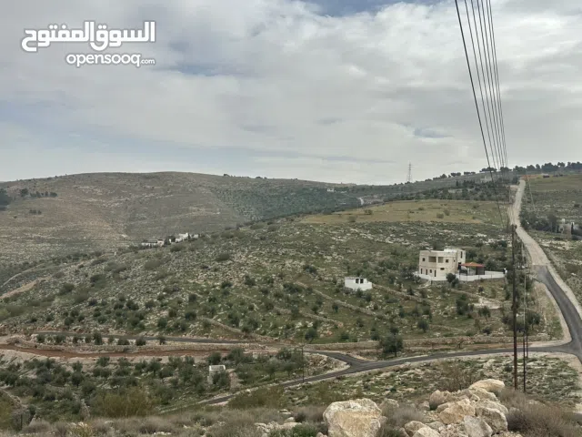 Farm Land for Sale in Zarqa Birayn