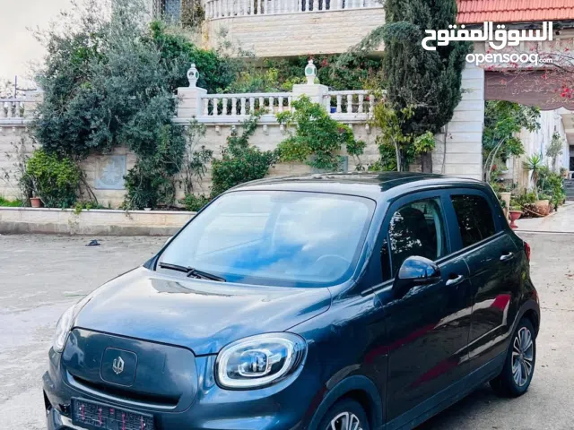 ليب موتورز كهربائية بالكامل