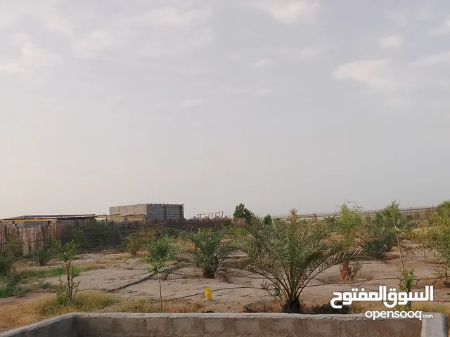 1 Bedroom Farms for Sale in Basra Zubayr