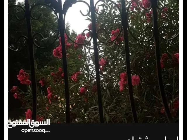 Unfurnished Monthly in Tripoli Souq Al-Juma'a