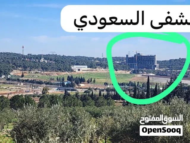 Farm Land for Sale in Amman Naour