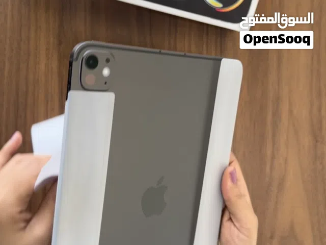 Apple iPad Pro 11 256 GB in Muscat