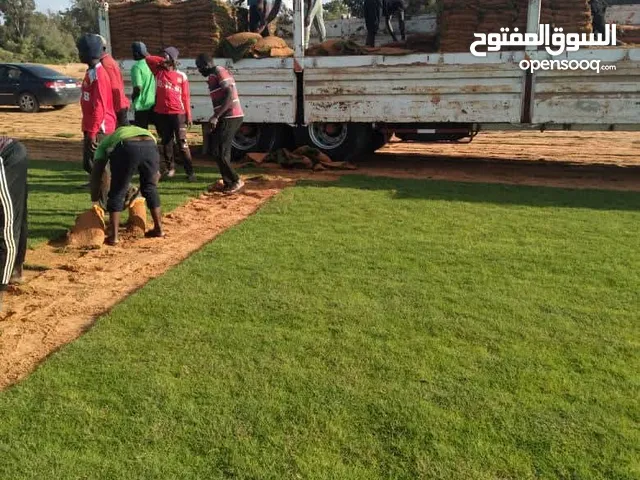 تنسيق حدائق 2025