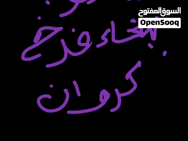 مطلوب ببغاء فرخ كروان