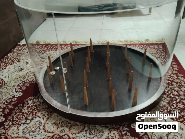 للبيع ستاند طاولة عرض بسكويت آيسكريم