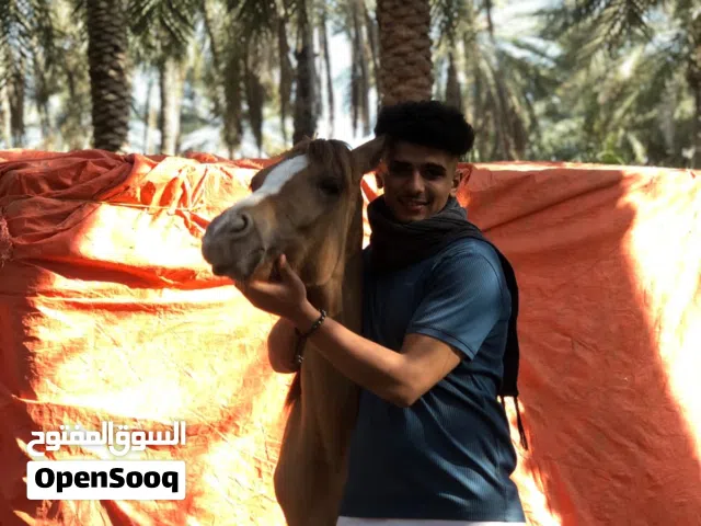 مساج الا المنزل