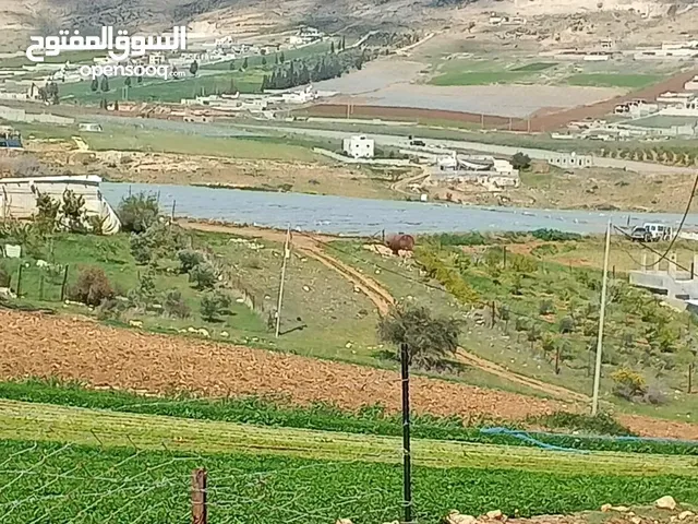 ارض بالنصارية