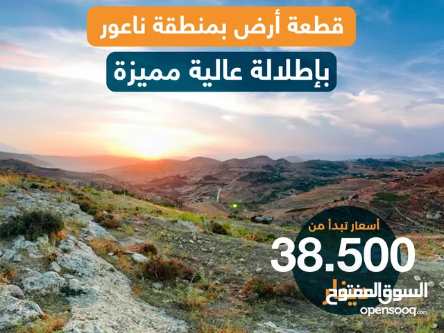 Residential Land for Sale in Amman Husban