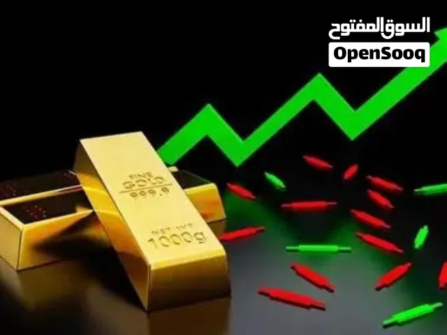دورة اقتصاد ومالية تأهيل سوق العمل الاردني