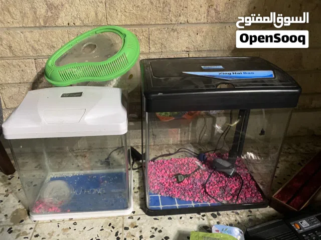 احواض استحمام الاثنين حبه نظيف