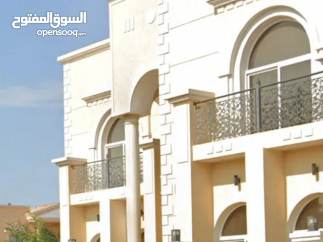 شركه النور لاعمال الصبغ والدهانات الحديثه