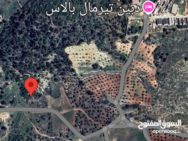 دونم للبيع دبين يصلح لبناء شاليه داخل الغابه