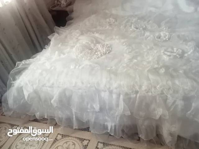 مسبل عرايسي