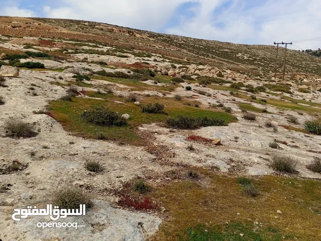 Farm Land for Sale in Jerash Other