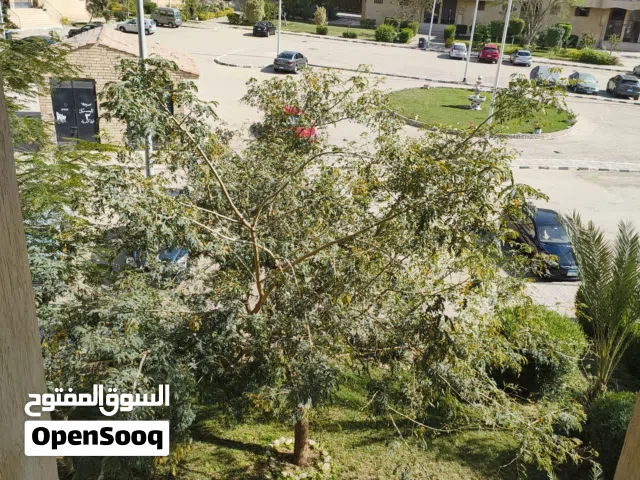 85 m2 2 Bedrooms Apartments for Rent in Cairo Fifth Settlement