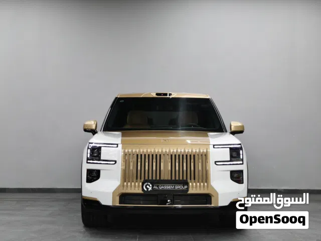 2025 زيكر X