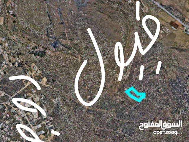احمد ابو مصطفى