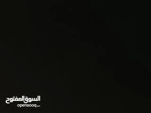 Roa'a Dwairy