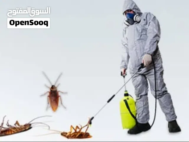 شركة مكافحة الحشرات رش مبيدات الحشرات ابها