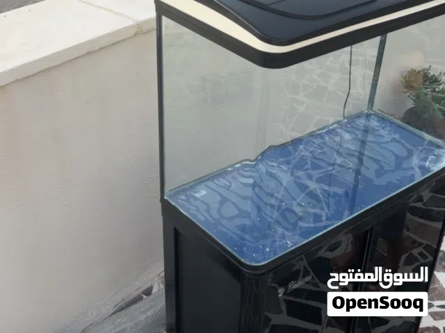 حوض سمك كبير