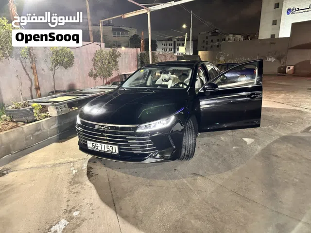 2025, بي واي دي, ديستروير