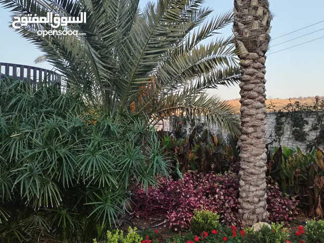 More than 6 bedrooms Farms for Sale in Jerash Tal Al-Rumman
