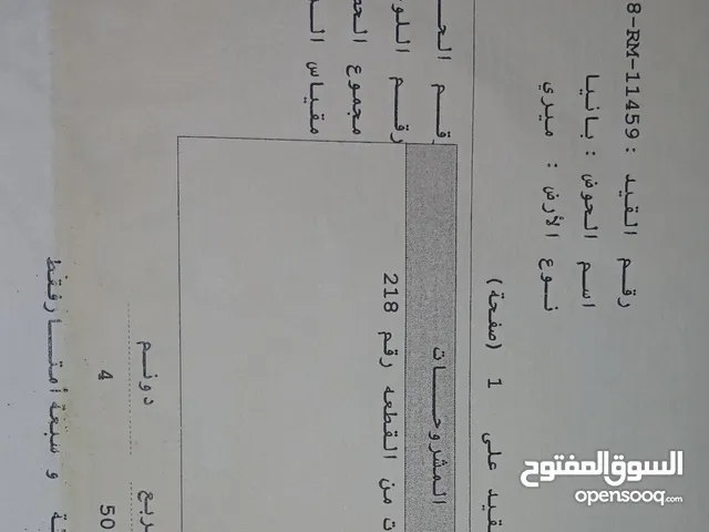 دونم ارض من اراضي الرمثا بانيا رقم القطعه 224 ارض مشتركه لكل واحد عارف حدوده ومحدده