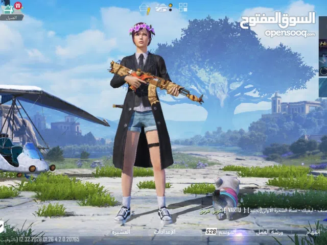 حساب ببجي للبيع