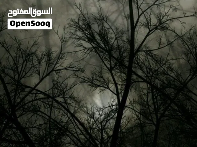 شقه ارضي غرفه وصالون منافع