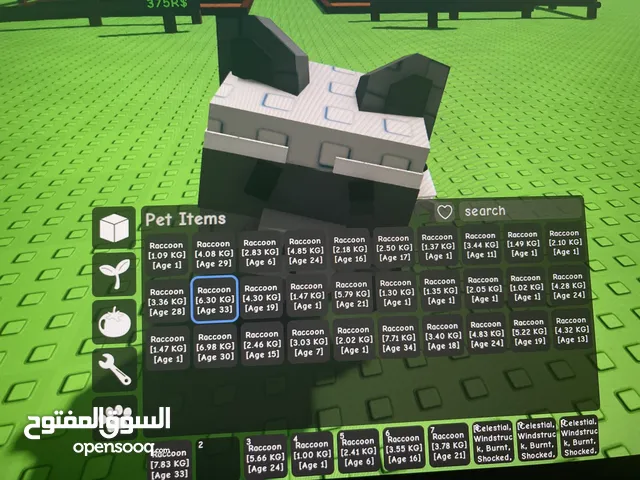 Raccoon and queen bee  ركون و كوين بي
