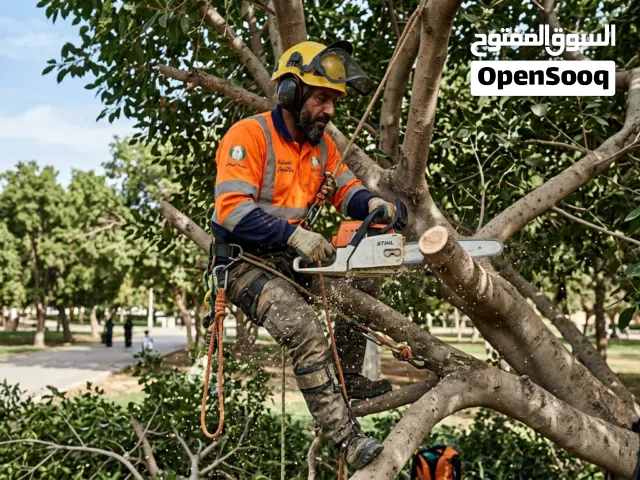 قص أشجار الزينه والنخيل