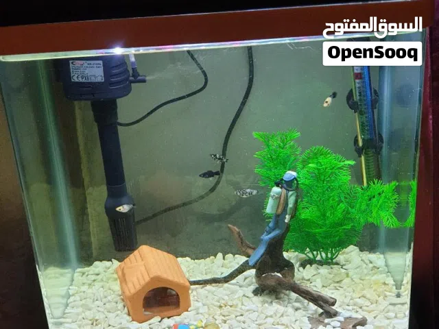 سلام عليكم حوض اسماك حجم 40سانتيم طوله وي الميز متره و4سانتيمات اقره الوصف