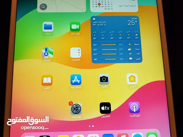 Apple iPad Pro 64 GB in Tripoli