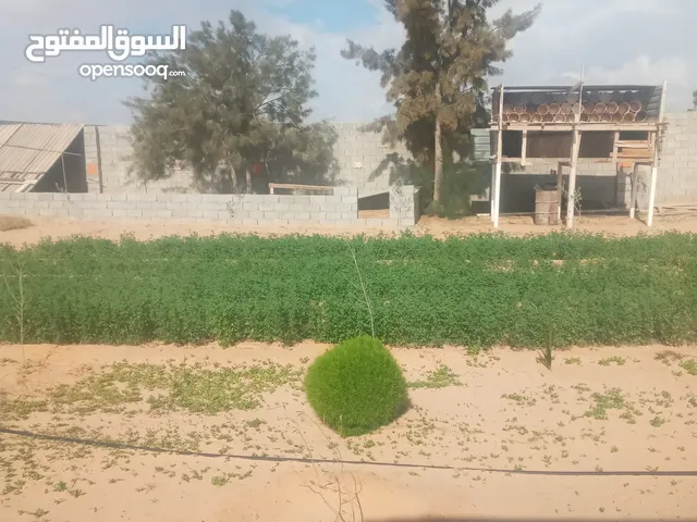 Farm Land for Sale in Misrata Tamina
