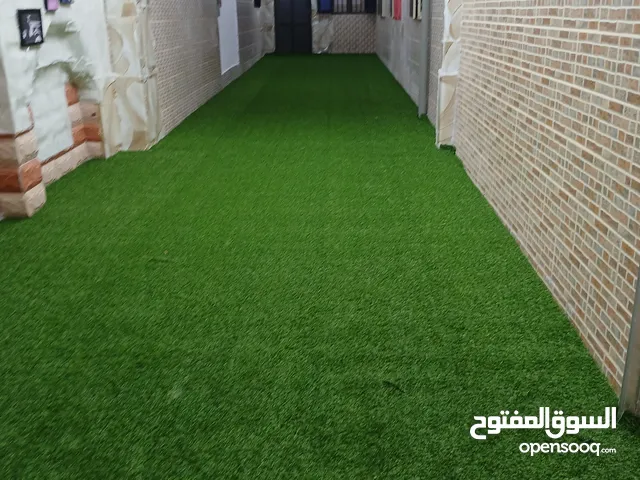 Garden Mantince New Garden Flower and Trees Grass cuting