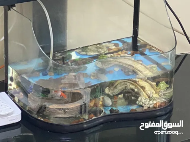 حوض سمك متوسط الحجم