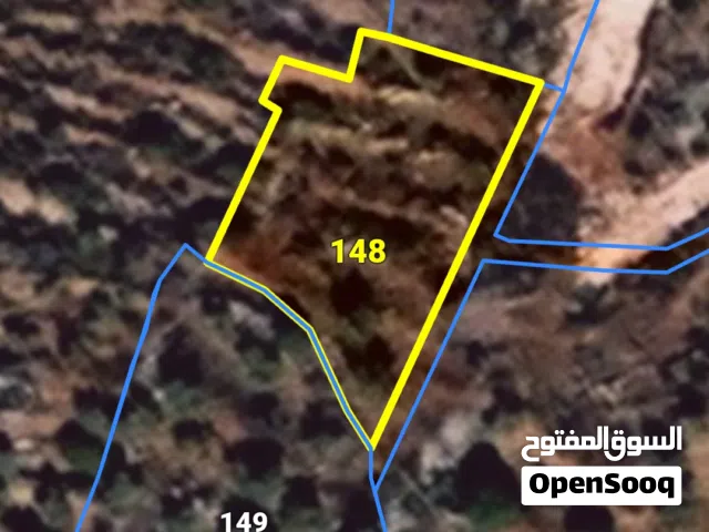 ارض  ممتازة للبيع