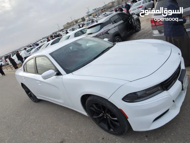 Used Dodge Charger in Basra