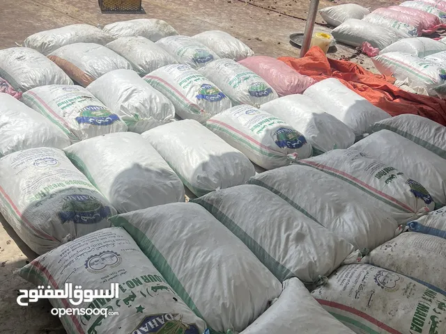 نفيعه جداد سنة 2025 جديد مبسلي