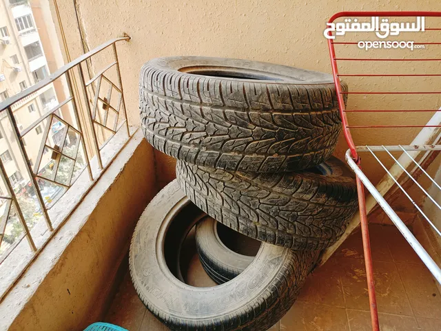 Bridgestone 18 Tyres in Cairo
